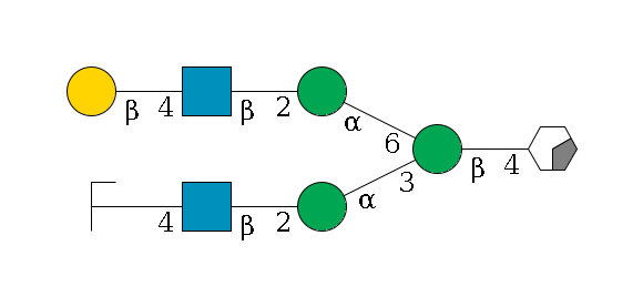 b1D-GlcNAc,p/#acleavage_0_2--4b1D-Man,p(--3a1D-Man,p--2b1D-GlcNAc,p--4b1D-Gal,p/#zcleavage)--6a1D-Man,p--2b1D-GlcNAc,p--4b1D-Gal,p$MONO,Und,-H,0,redEnd