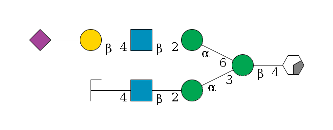 b1D-GlcNAc,p/#acleavage_0_2--4b1D-Man,p(--3a1D-Man,p--2b1D-GlcNAc,p--4b1D-Gal,p/#zcleavage)--6a1D-Man,p--2b1D-GlcNAc,p--4b1D-Gal,p--??2D-NeuAc,p$MONO,Und,-2H,0,redEnd