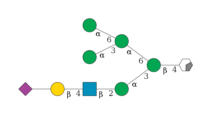 b1D-GlcNAc,p/#acleavage_0_2--4b1D-Man,p(--3a1D-Man,p--2b1D-GlcNAc,p--4b1D-Gal,p--??2D-NeuAc,p)--6a1D-Man,p(--3a1D-Man,p)--6a1D-Man,p$MONO,Und,-H,0,redEnd