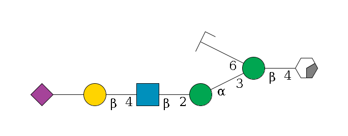 b1D-GlcNAc,p/#acleavage_0_2--4b1D-Man,p(--3a1D-Man,p--2b1D-GlcNAc,p--4b1D-Gal,p--??2D-NeuAc,p)--6a1D-Man,p/#zcleavage$MONO,Und,-H,0,redEnd