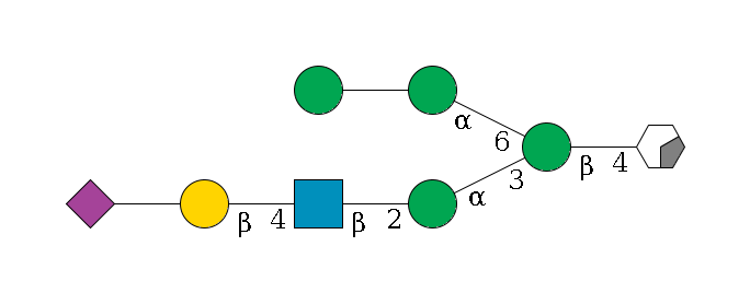 b1D-GlcNAc,p/#acleavage_0_2--4b1D-Man,p(--3a1D-Man,p--2b1D-GlcNAc,p--4b1D-Gal,p--??2D-NeuAc,p)--6a1D-Man,p--??1D-Man,p$MONO,Und,-H,0,redEnd