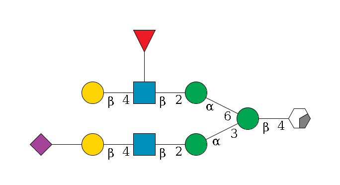 b1D-GlcNAc,p/#acleavage_0_2--4b1D-Man,p(--3a1D-Man,p--2b1D-GlcNAc,p--4b1D-Gal,p--??2D-NeuAc,p)--6a1D-Man,p--2b1D-GlcNAc,p(--4b1D-Gal,p)--??1L-Fuc,p$MONO,Und,-H,0,redEnd