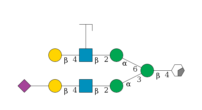 b1D-GlcNAc,p/#acleavage_0_2--4b1D-Man,p(--3a1D-Man,p--2b1D-GlcNAc,p--4b1D-Gal,p--??2D-NeuAc,p)--6a1D-Man,p--2b1D-GlcNAc,p(--4b1D-Gal,p)--??1L-Fuc,p/#zcleavage$MONO,Und,-H,0,redEnd