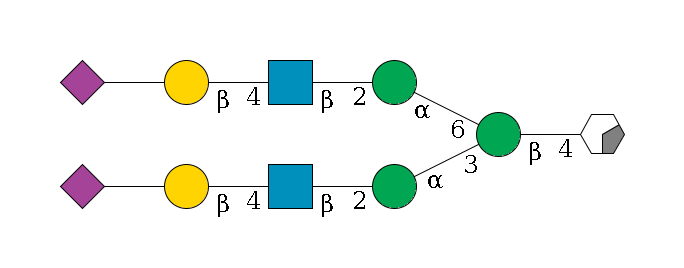 b1D-GlcNAc,p/#acleavage_0_2--4b1D-Man,p(--3a1D-Man,p--2b1D-GlcNAc,p--4b1D-Gal,p--??2D-NeuAc,p)--6a1D-Man,p--2b1D-GlcNAc,p--4b1D-Gal,p--??2D-NeuAc,p$MONO,Und,-2H,0,redEnd