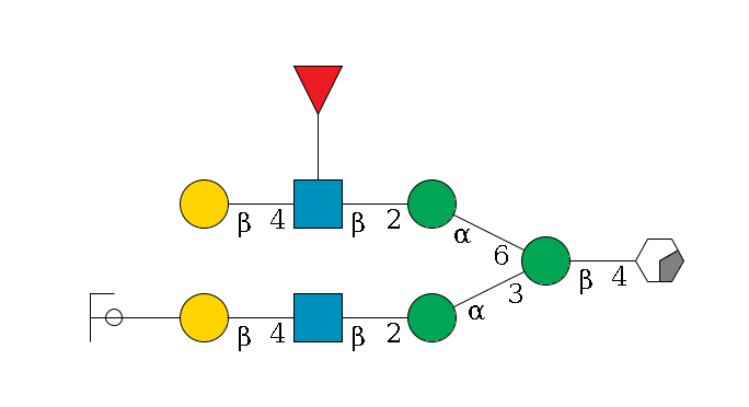 b1D-GlcNAc,p/#acleavage_0_2--4b1D-Man,p(--3a1D-Man,p--2b1D-GlcNAc,p--4b1D-Gal,p--??2D-NeuAc,p/#ycleavage)--6a1D-Man,p--2b1D-GlcNAc,p(--4b1D-Gal,p)--??1L-Fuc,p$MONO,Und,-H,0,redEnd