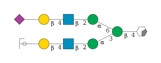 b1D-GlcNAc,p/#acleavage_0_2--4b1D-Man,p(--3a1D-Man,p--2b1D-GlcNAc,p--4b1D-Gal,p--??2D-NeuAc,p/#ycleavage)--6a1D-Man,p--2b1D-GlcNAc,p--4b1D-Gal,p--??2D-NeuAc,p$MONO,Und,-H,0,redEnd