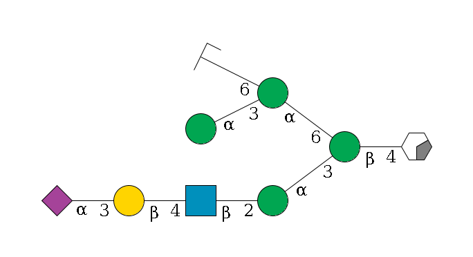 b1D-GlcNAc,p/#acleavage_0_2--4b1D-Man,p(--3a1D-Man,p--2b1D-GlcNAc,p--4b1D-Gal,p--3a2D-NeuAc,p)--6a1D-Man,p(--3a1D-Man,p)--6a1D-Man,p/#zcleavage$MONO,Und,-H,0,redEnd