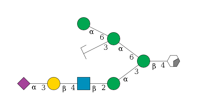 b1D-GlcNAc,p/#acleavage_0_2--4b1D-Man,p(--3a1D-Man,p--2b1D-GlcNAc,p--4b1D-Gal,p--3a2D-NeuAc,p)--6a1D-Man,p(--3a1D-Man,p/#zcleavage)--6a1D-Man,p$MONO,Und,-H,0,redEnd