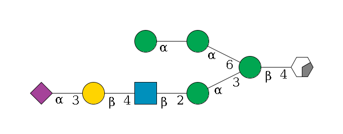 b1D-GlcNAc,p/#acleavage_0_2--4b1D-Man,p(--3a1D-Man,p--2b1D-GlcNAc,p--4b1D-Gal,p--3a2D-NeuAc,p)--6a1D-Man,p--?a1D-Man,p$MONO,Und,-2H,0,redEnd