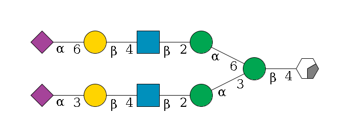 b1D-GlcNAc,p/#acleavage_0_2--4b1D-Man,p(--3a1D-Man,p--2b1D-GlcNAc,p--4b1D-Gal,p--3a2D-NeuAc,p)--6a1D-Man,p--2b1D-GlcNAc,p--4b1D-Gal,p--6a2D-NeuAc,p$MONO,Und,-2H,0,redEnd