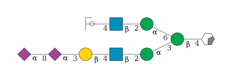 b1D-GlcNAc,p/#acleavage_0_2--4b1D-Man,p(--3a1D-Man,p--2b1D-GlcNAc,p--4b1D-Gal,p--3a2D-NeuAc,p--8a2D-NeuAc,p)--6a1D-Man,p--2b1D-GlcNAc,p--4b1D-Gal,p/#ycleavage$MONO,Und,-2H,0,redEnd