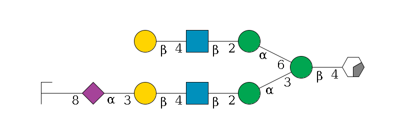 b1D-GlcNAc,p/#acleavage_0_2--4b1D-Man,p(--3a1D-Man,p--2b1D-GlcNAc,p--4b1D-Gal,p--3a2D-NeuAc,p--8a2D-NeuAc,p/#zcleavage)--6a1D-Man,p--2b1D-GlcNAc,p--4b1D-Gal,p$MONO,Und,-H,0,redEnd