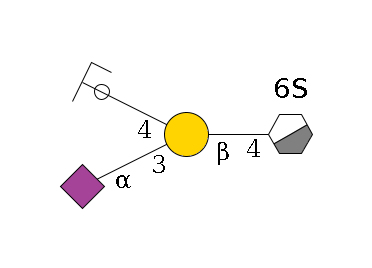 b1D-GlcNAc,p/#acleavage_0_3(--4b1D-Gal,p(--3a2D-NeuAc,p)--4b1D-GalNAc,p/#ycleavage)--6?1S$MONO,Und,-H,0,redEnd