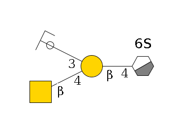 b1D-GlcNAc,p/#acleavage_0_3(--4b1D-Gal,p(--4b1D-GalNAc,p)--3a2D-NeuGc,p/#ycleavage)--6?1S$MONO,Und,-H,0,redEnd