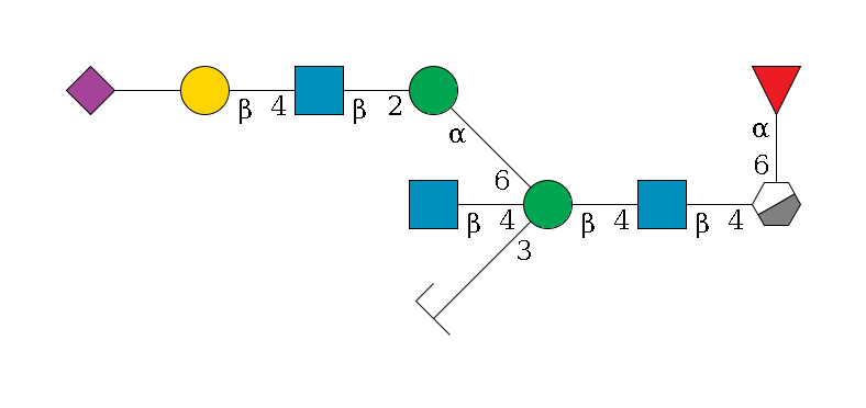 b1D-GlcNAc,p/#acleavage_0_3(--4b1D-GlcNAc,p--4b1D-Man,p((--3a1D-Man,p/#zcleavage)--4b1D-GlcNAc,p)--6a1D-Man,p--2b1D-GlcNAc,p--4b1D-Gal,p--??2D-NeuAc,p)--6a1L-Fuc,p$MONO,Und,-H,0,redEnd