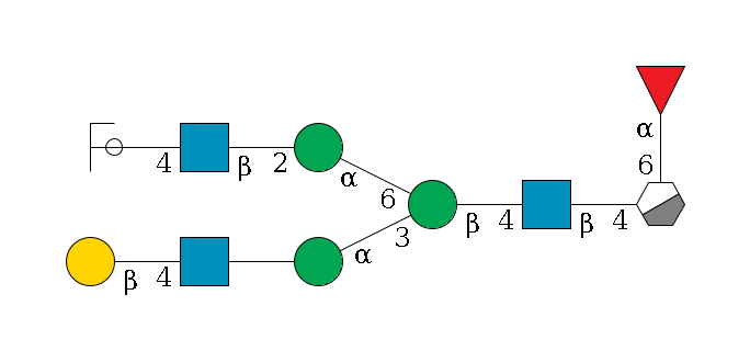 b1D-GlcNAc,p/#acleavage_0_3(--4b1D-GlcNAc,p--4b1D-Man,p(--3a1D-Man,p--??1D-GlcNAc,p--4b1D-Gal,p)--6a1D-Man,p--2b1D-GlcNAc,p--4b1D-Gal,p/#ycleavage)--6a1L-Fuc,p$MONO,Und,-2H,0,redEnd