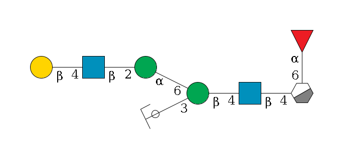 b1D-GlcNAc,p/#acleavage_0_3(--6a1L-Fuc,p)--4b1D-GlcNAc,p--4b1D-Man,p(--3a1D-Man,p/#ycleavage)--6a1D-Man,p--2b1D-GlcNAc,p--4b1D-Gal,p$MONO,Und,-2H,0,redEnd