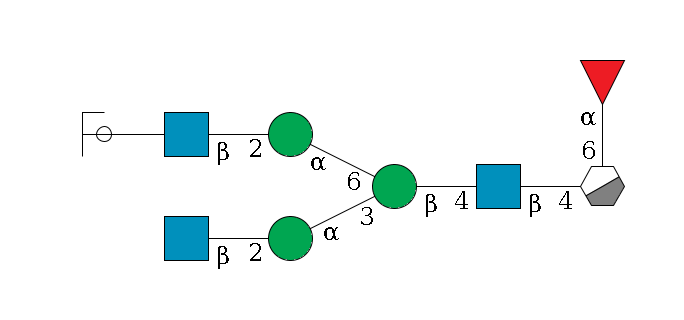 b1D-GlcNAc,p/#acleavage_0_3(--6a1L-Fuc,p)--4b1D-GlcNAc,p--4b1D-Man,p(--3a1D-Man,p--2b1D-GlcNAc,p)--6a1D-Man,p--2b1D-GlcNAc,p--??1D-Gal,p/#ycleavage$MONO,Und,-2H,0,redEnd