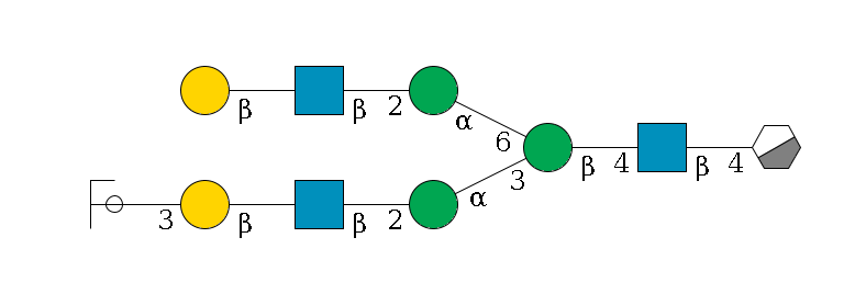 b1D-GlcNAc,p/#acleavage_0_3--4b1D-GlcNAc,p--4b1D-Man,p(--3a1D-Man,p--2b1D-GlcNAc,p--?b1D-Gal,p--3a2D-NeuAc,p/#ycleavage)--6a1D-Man,p--2b1D-GlcNAc,p--?b1D-Gal,p$MONO,Und,-H,0,redEnd