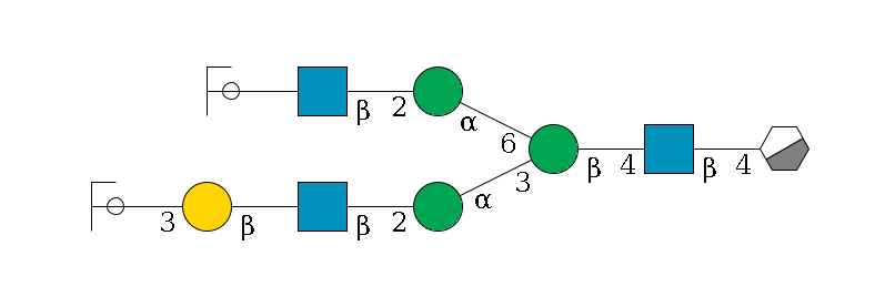b1D-GlcNAc,p/#acleavage_0_3--4b1D-GlcNAc,p--4b1D-Man,p(--3a1D-Man,p--2b1D-GlcNAc,p--?b1D-Gal,p--3a2D-NeuAc,p/#ycleavage)--6a1D-Man,p--2b1D-GlcNAc,p--?b1D-Gal,p/#ycleavage$MONO,Und,-2H,0,redEnd