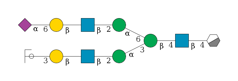 b1D-GlcNAc,p/#acleavage_0_3--4b1D-GlcNAc,p--4b1D-Man,p(--3a1D-Man,p--2b1D-GlcNAc,p--?b1D-Gal,p--3a2D-NeuAc,p/#ycleavage)--6a1D-Man,p--2b1D-GlcNAc,p--?b1D-Gal,p--6a2D-NeuAc,p$MONO,Und,-2H,0,redEnd