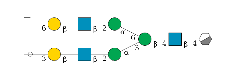 b1D-GlcNAc,p/#acleavage_0_3--4b1D-GlcNAc,p--4b1D-Man,p(--3a1D-Man,p--2b1D-GlcNAc,p--?b1D-Gal,p--3a2D-NeuAc,p/#ycleavage)--6a1D-Man,p--2b1D-GlcNAc,p--?b1D-Gal,p--6a2D-NeuAc,p/#zcleavage$MONO,Und,-2H,0,redEnd