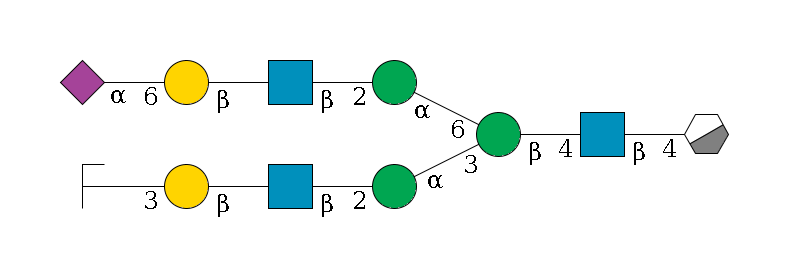 b1D-GlcNAc,p/#acleavage_0_3--4b1D-GlcNAc,p--4b1D-Man,p(--3a1D-Man,p--2b1D-GlcNAc,p--?b1D-Gal,p--3a2D-NeuAc,p/#zcleavage)--6a1D-Man,p--2b1D-GlcNAc,p--?b1D-Gal,p--6a2D-NeuAc,p$MONO,Und,-2H,0,redEnd