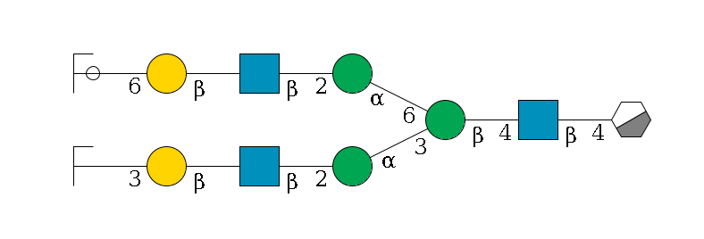 b1D-GlcNAc,p/#acleavage_0_3--4b1D-GlcNAc,p--4b1D-Man,p(--3a1D-Man,p--2b1D-GlcNAc,p--?b1D-Gal,p--3a2D-NeuAc,p/#zcleavage)--6a1D-Man,p--2b1D-GlcNAc,p--?b1D-Gal,p--6a2D-NeuAc,p/#ycleavage$MONO,Und,-2H,0,redEnd