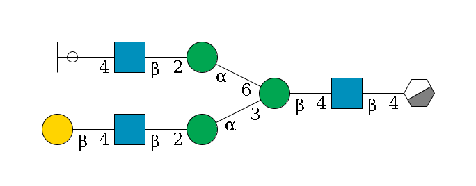 b1D-GlcNAc,p/#acleavage_0_3--4b1D-GlcNAc,p--4b1D-Man,p(--3a1D-Man,p--2b1D-GlcNAc,p--4b1D-Gal,p)--6a1D-Man,p--2b1D-GlcNAc,p--4b1D-Gal,p/#ycleavage$MONO,Und,-2H,0,redEnd