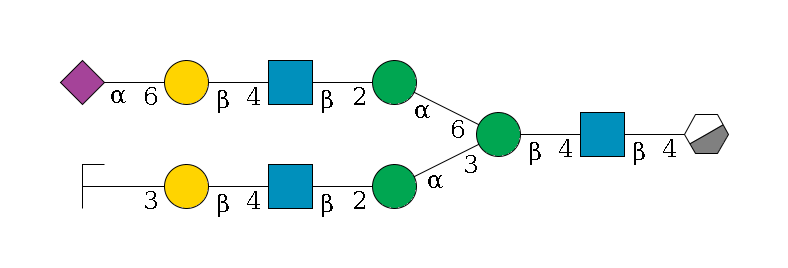 b1D-GlcNAc,p/#acleavage_0_3--4b1D-GlcNAc,p--4b1D-Man,p(--3a1D-Man,p--2b1D-GlcNAc,p--4b1D-Gal,p--3a2D-NeuAc,p/#zcleavage)--6a1D-Man,p--2b1D-GlcNAc,p--4b1D-Gal,p--6a2D-NeuAc,p$MONO,Und,-2H,0,redEnd