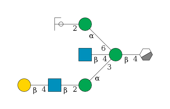 b1D-GlcNAc,p/#acleavage_0_3--4b1D-Man,p((--3a1D-Man,p--2b1D-GlcNAc,p--4b1D-Gal,p)--4b1D-GlcNAc,p)--6a1D-Man,p--2b1D-GlcNAc,p/#ycleavage$MONO,Und,-2H,0,redEnd