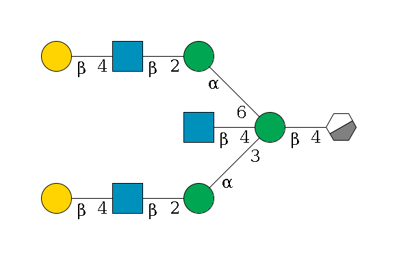 b1D-GlcNAc,p/#acleavage_0_3--4b1D-Man,p((--3a1D-Man,p--2b1D-GlcNAc,p--4b1D-Gal,p)--4b1D-GlcNAc,p)--6a1D-Man,p--2b1D-GlcNAc,p--4b1D-Gal,p$MONO,Und,-2H,0,redEnd