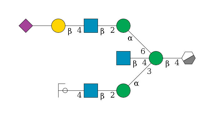 b1D-GlcNAc,p/#acleavage_0_3--4b1D-Man,p((--3a1D-Man,p--2b1D-GlcNAc,p--4b1D-Gal,p/#ycleavage)--4b1D-GlcNAc,p)--6a1D-Man,p--2b1D-GlcNAc,p--4b1D-Gal,p--??2D-NeuAc,p$MONO,Und,-2H,0,redEnd