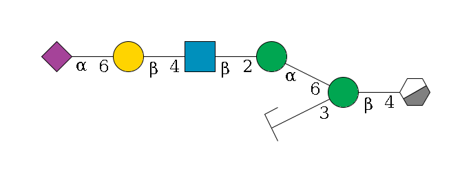 b1D-GlcNAc,p/#acleavage_0_3--4b1D-Man,p(--3a1D-Man,p/#zcleavage)--6a1D-Man,p--2b1D-GlcNAc,p--4b1D-Gal,p--6a2D-NeuAc,p$MONO,Und,-H,0,redEnd