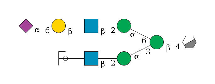 b1D-GlcNAc,p/#acleavage_0_3--4b1D-Man,p(--3a1D-Man,p--2b1D-GlcNAc,p--?b1D-Gal,p/#ycleavage)--6a1D-Man,p--2b1D-GlcNAc,p--?b1D-Gal,p--6a2D-NeuAc,p$MONO,Und,-2H,0,redEnd