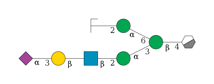 b1D-GlcNAc,p/#acleavage_0_3--4b1D-Man,p(--3a1D-Man,p--2b1D-GlcNAc,p--?b1D-Gal,p--3a2D-NeuAc,p)--6a1D-Man,p--2b1D-GlcNAc,p/#zcleavage$MONO,Und,-H,0,redEnd