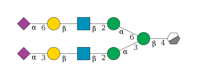 b1D-GlcNAc,p/#acleavage_0_3--4b1D-Man,p(--3a1D-Man,p--2b1D-GlcNAc,p--?b1D-Gal,p--3a2D-NeuAc,p)--6a1D-Man,p--2b1D-GlcNAc,p--?b1D-Gal,p--6a2D-NeuAc,p$MONO,Und,-2H,0,redEnd
