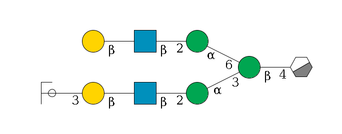 b1D-GlcNAc,p/#acleavage_0_3--4b1D-Man,p(--3a1D-Man,p--2b1D-GlcNAc,p--?b1D-Gal,p--3a2D-NeuAc,p/#ycleavage)--6a1D-Man,p--2b1D-GlcNAc,p--?b1D-Gal,p$MONO,Und,-2H,0,redEnd