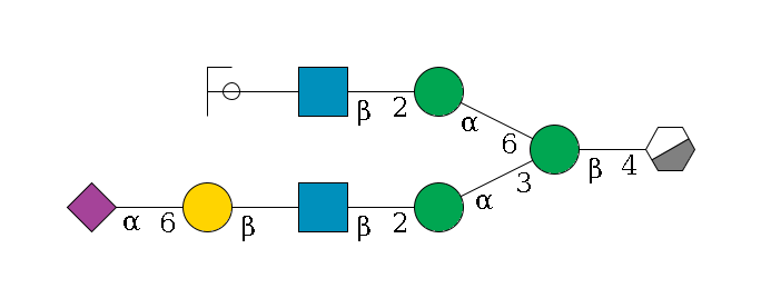 b1D-GlcNAc,p/#acleavage_0_3--4b1D-Man,p(--3a1D-Man,p--2b1D-GlcNAc,p--?b1D-Gal,p--6a2D-NeuAc,p)--6a1D-Man,p--2b1D-GlcNAc,p--?b1D-Gal,p/#ycleavage$MONO,Und,-2H,0,redEnd