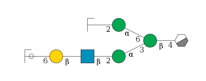 b1D-GlcNAc,p/#acleavage_0_3--4b1D-Man,p(--3a1D-Man,p--2b1D-GlcNAc,p--?b1D-Gal,p--6a2D-NeuAc,p/#ycleavage)--6a1D-Man,p--2b1D-GlcNAc,p/#zcleavage$MONO,Und,-2H,0,redEnd
