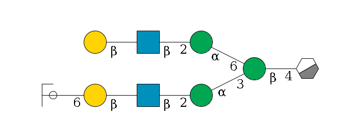 b1D-GlcNAc,p/#acleavage_0_3--4b1D-Man,p(--3a1D-Man,p--2b1D-GlcNAc,p--?b1D-Gal,p--6a2D-NeuAc,p/#ycleavage)--6a1D-Man,p--2b1D-GlcNAc,p--?b1D-Gal,p$MONO,Und,-2H,0,redEnd