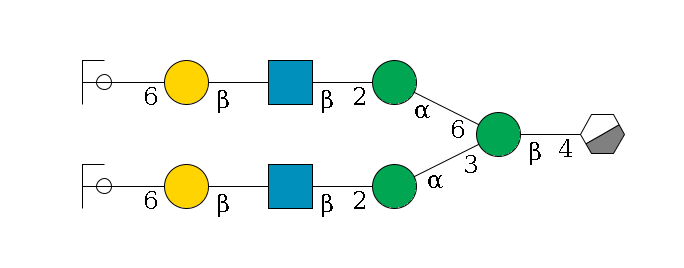 b1D-GlcNAc,p/#acleavage_0_3--4b1D-Man,p(--3a1D-Man,p--2b1D-GlcNAc,p--?b1D-Gal,p--6a2D-NeuAc,p/#ycleavage)--6a1D-Man,p--2b1D-GlcNAc,p--?b1D-Gal,p--6a2D-NeuAc,p/#ycleavage$MONO,Und,-2H,0,redEnd