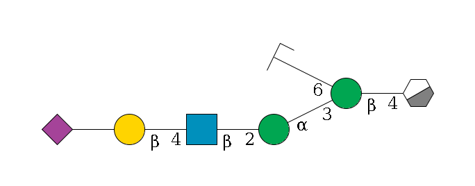 b1D-GlcNAc,p/#acleavage_0_3--4b1D-Man,p(--3a1D-Man,p--2b1D-GlcNAc,p--4b1D-Gal,p--??2D-NeuAc,p)--6a1D-Man,p/#zcleavage$MONO,Und,-H,0,redEnd