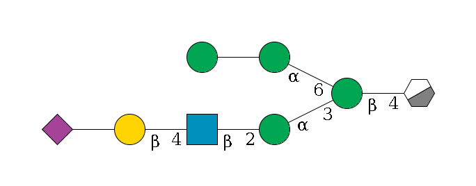b1D-GlcNAc,p/#acleavage_0_3--4b1D-Man,p(--3a1D-Man,p--2b1D-GlcNAc,p--4b1D-Gal,p--??2D-NeuAc,p)--6a1D-Man,p--??1D-Man,p$MONO,Und,-H,0,redEnd