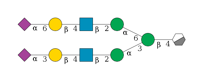 b1D-GlcNAc,p/#acleavage_0_3--4b1D-Man,p(--3a1D-Man,p--2b1D-GlcNAc,p--4b1D-Gal,p--3a2D-NeuAc,p)--6a1D-Man,p--2b1D-GlcNAc,p--4b1D-Gal,p--6a2D-NeuAc,p$MONO,Und,-2H,0,redEnd