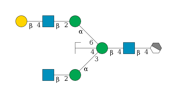 b1D-GlcNAc,p/#acleavage_1_4--4b1D-GlcNAc,p--4b1D-Man,p((--3a1D-Man,p--2b1D-GlcNAc,p)--4b1D-GlcNAc,p/#zcleavage)--6a1D-Man,p--2b1D-GlcNAc,p--4b1D-Gal,p$MONO,Und,-2H,0,redEnd