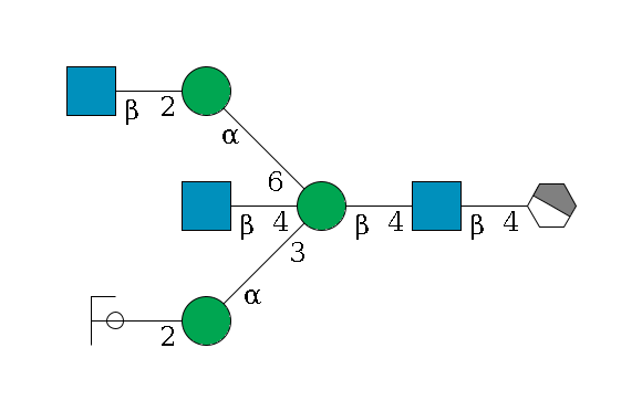b1D-GlcNAc,p/#acleavage_1_4--4b1D-GlcNAc,p--4b1D-Man,p((--3a1D-Man,p--2b1D-GlcNAc,p/#ycleavage)--4b1D-GlcNAc,p)--6a1D-Man,p--2b1D-GlcNAc,p$MONO,Und,-2H,0,redEnd