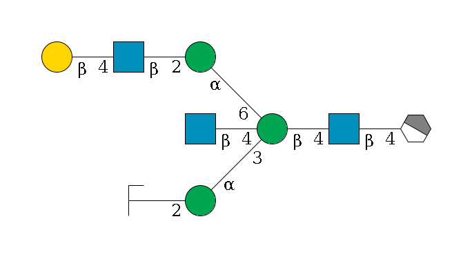 b1D-GlcNAc,p/#acleavage_1_4--4b1D-GlcNAc,p--4b1D-Man,p((--3a1D-Man,p--2b1D-GlcNAc,p/#zcleavage)--4b1D-GlcNAc,p)--6a1D-Man,p--2b1D-GlcNAc,p--4b1D-Gal,p$MONO,Und,-2H,0,redEnd