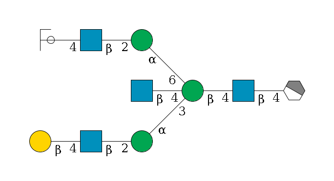 b1D-GlcNAc,p/#acleavage_1_4--4b1D-GlcNAc,p--4b1D-Man,p((--3a1D-Man,p--2b1D-GlcNAc,p--4b1D-Gal,p)--4b1D-GlcNAc,p)--6a1D-Man,p--2b1D-GlcNAc,p--4b1D-Gal,p/#ycleavage$MONO,Und,-2H,0,redEnd