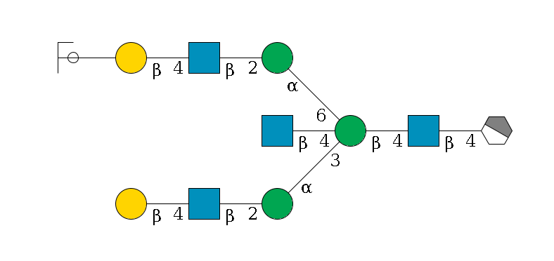 b1D-GlcNAc,p/#acleavage_1_4--4b1D-GlcNAc,p--4b1D-Man,p((--3a1D-Man,p--2b1D-GlcNAc,p--4b1D-Gal,p)--4b1D-GlcNAc,p)--6a1D-Man,p--2b1D-GlcNAc,p--4b1D-Gal,p--??2D-NeuAc,p/#ycleavage$MONO,Und,-2H,0,redEnd